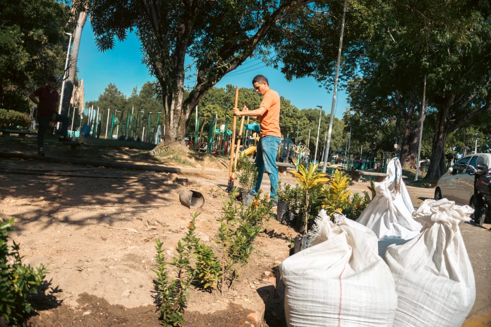 Instalaron cámara para detectar a los cochinos que arrojan basuras en Barrancabermeja imagen de la publicación