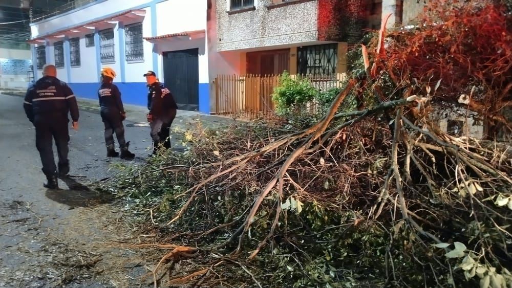 Censo constató que 94 puntos fueron afectados en Bucaramanga tras vendaval del jueves imagen de la publicación