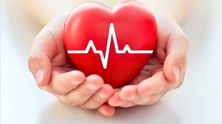 El corazón mata 6,5 millones de personas cada año en el mundo imagen de la publicación