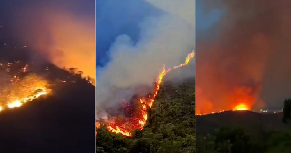 Fuego sin control arrasa más de 3.000 hectáreas en Ábrego y amenaza zonas rurales imagen de la publicación