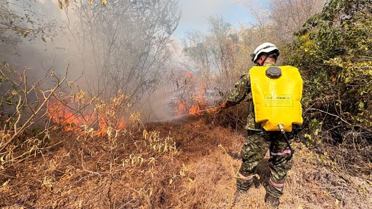 Incendios forestales en Santander ya afectan más de 300 hectáreas en septiembre imagen de la publicación