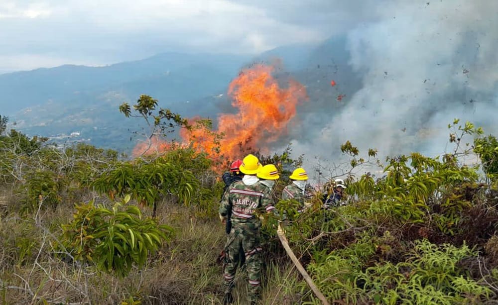 Coromoro y Tona, en alerta por incendios forestales que afectan a Santander imagen de la publicación