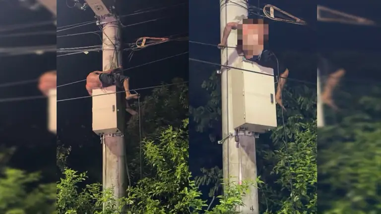 Intentó llevarse unos cables y terminó electrocutado y atrapado en un poste en Santander imagen de la publicación