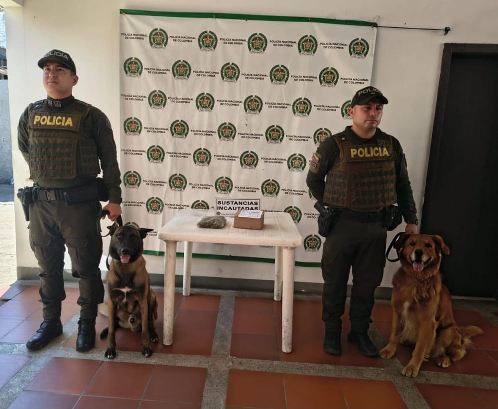 El olfato de ‘Yordi’ delató una encomienda con 250 dosis de marihuana en Socorro imagen de la publicación