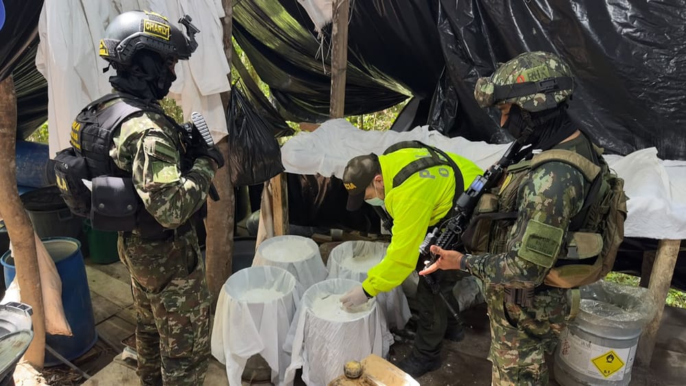Fuerzas Armadas destruyen otra 'cocina' de drogas del ELN imagen de la publicación