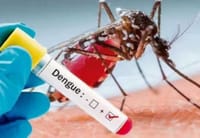 Santander supera 10.000 casos de dengue y es el departamento  más afectado del país imagen de la publicación