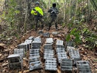 Duro golpe a las finanzas del narcotráfico en Sabana de Torres, Santander imagen de la publicación