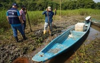Mancha de petróleo crudo  vuelve a poner en jaque a la Ciénaga El Llanito, en Barrancabermeja imagen de la publicación