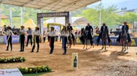 Feria Equina en Bucaramanga rompió todas las expectativas imagen de la publicación