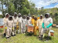 Programa Nespresso Plan en San Gil imagen de la publicación