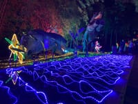 ESSA abrió la convocatoria para el concurso de municipios “Encendamos la alegría de la Navidad 2026” imagen de la publicación