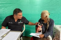 Crece población de felinos y caninos con atención especializada en Santander imagen de la publicación