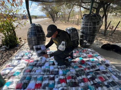 Decomisadas confecciones de contrabando ocultas en alimento para gatos imagen de la publicación