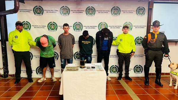 Tumbaron a las ‘palmeras’ que tenían narco negocio en Floridablanca