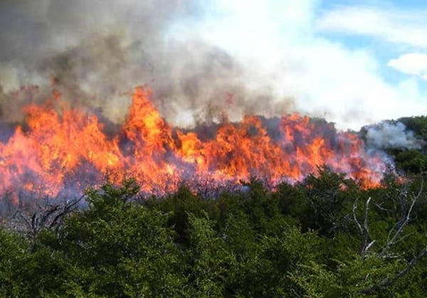 Santander en riesgo: 65 municipios bajo alerta roja por incendios forestales