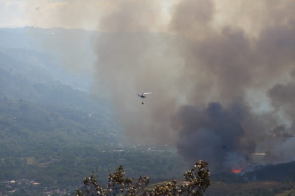 Frente a tragedia ambiental en Santander, Gobernador convoca a alcaldes para proteger fauna