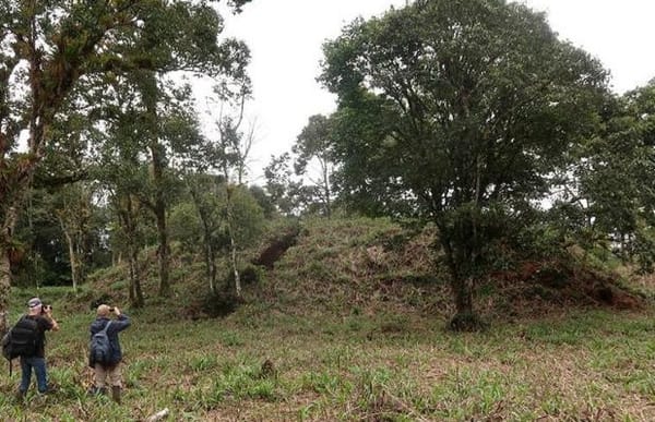 Descubren antiguas ciudades agrarias en la Amazonía ecuatoriana