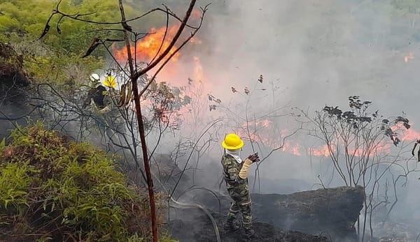 Fuerte reproche de la Procuraduría al Gobierno Petro por administración de incendios forestales