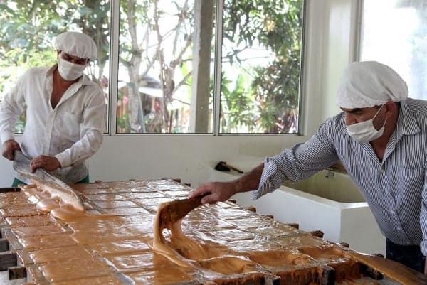 Alerta en la industria panelera: Empresa extranjera busca patentar el melao