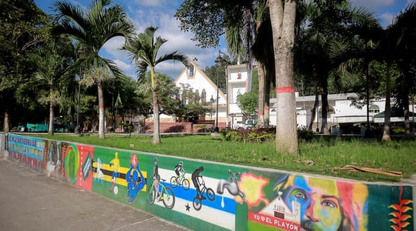 Corte Constitucional ordena disculpas públicas por mal estado de colegio en El Playón (S)