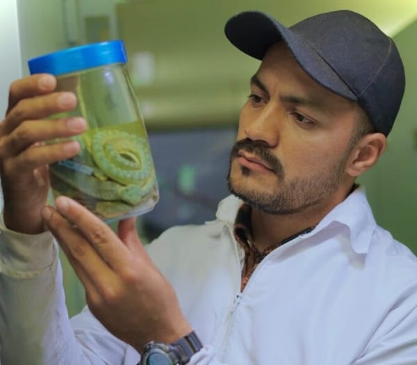 Investigadores de la UIS descubrieron dos nuevas especies de serpientes venenosas en Santander