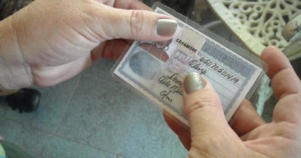 Desarticulan red que facilitaba documentos falsos a migrantes en Europa