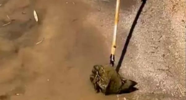 ¿Señal de ritual? Descubren objeto misterioso en el embalse Guatapé
