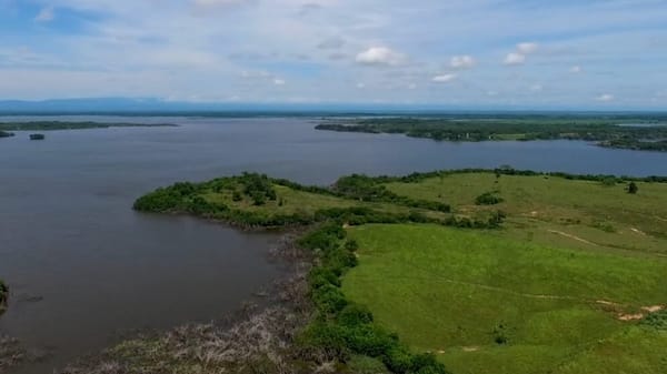 Agencia Nacional de Tierras alerta sobre invasiones fraudulentas en Sabana de Torres