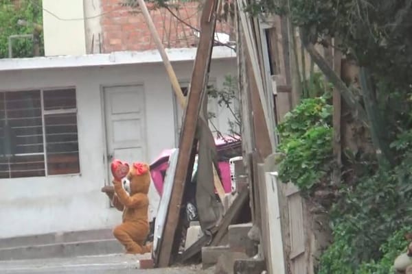 Ingenioso operativo: Policía captura a delincuente disfrazado de oso de San Valentín