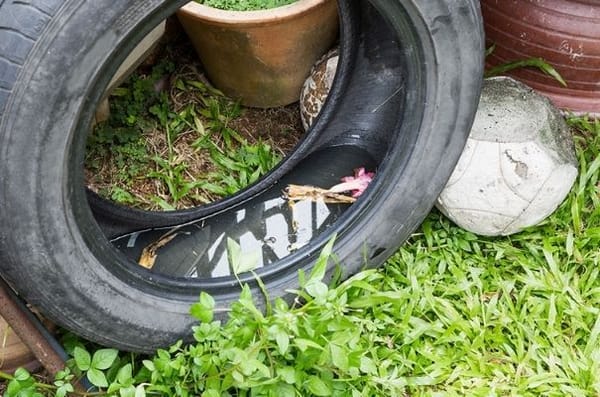 Girón combate el dengue con recolección de factores de riesgo