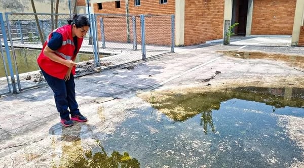 Floridablanca intensifica esfuerzos para prevenir enfermedades transmitidas por mosquitos