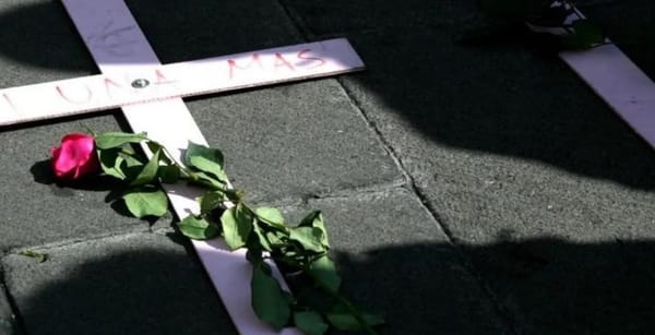 ¡Tragedia! Menor de 16 años fue asesinada por su pareja