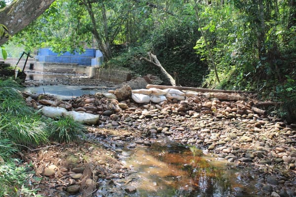 Represa de Sabana de Torres en estado crítico