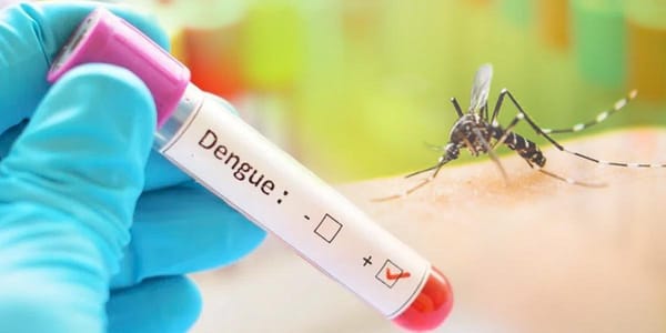 Alerta roja en Santander: Dengue cobra 19 vidas y supera los 8,800 casos