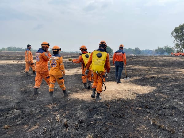 Luego de tres días se pudo contener incendio en Mogotes