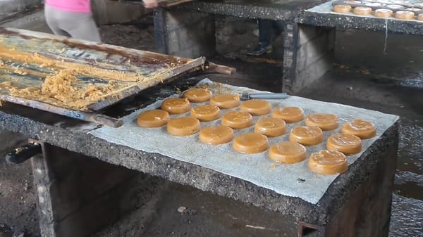 Paneleros santandereanos aplauden iniciativa de reactivar la licorera del departamento