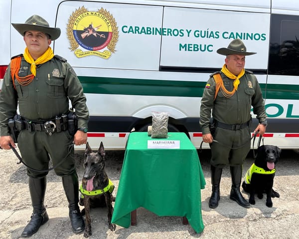 VIDEO. Canino se 'olfateó' la 'merca' en una encomienda a Bucaramanga