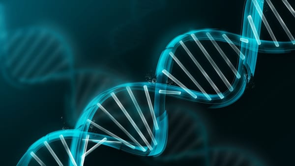 Lipodistrofia, más que una cuestión de peso