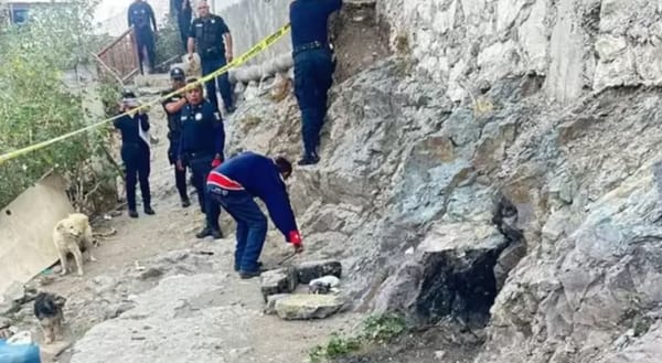 Perro encontró cuerpo desmembrado y lo llevó a su casa