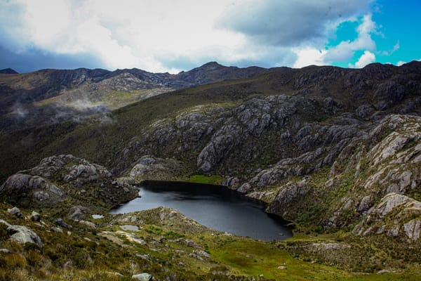 Celebración verde: Santander rinde tributo a su biodiversidad