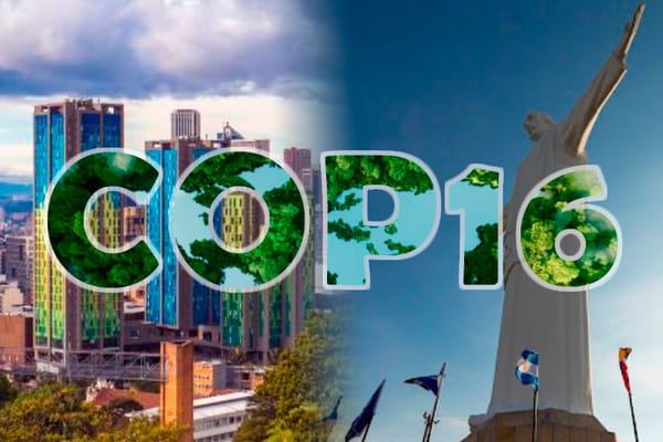 Yopal se une al llamado mundial: 'Rumbo a la COP16' y la defensa de la biodiversidad