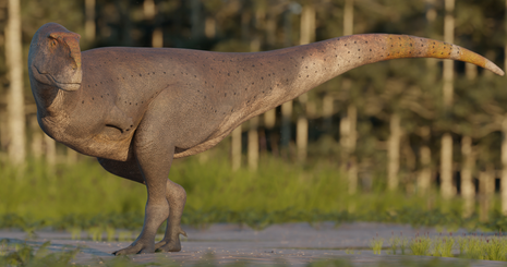 Descubren en la Patagonia argentina una nueva especie de dinosaurio carnívoro