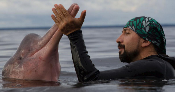 La increíble historia del colombiano conocido como el 'hombre delfín' y su nombramiento como Explorador del Año por National Geographic
