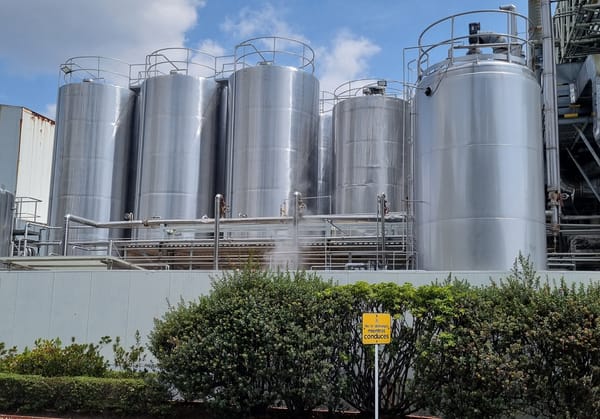 Aumentar consumo de lácteos es el reto para el sector en Colombia