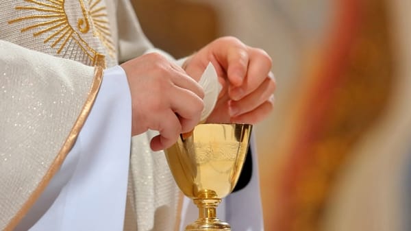Sacerdote de Florida acusado de morder a una mujer durante la comunión