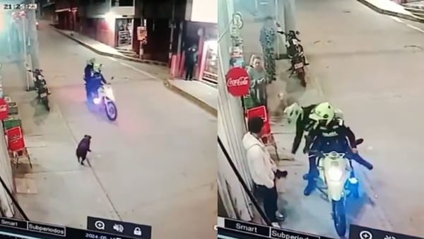 Policías separados de su cargo por maltrato animal en Bogotá