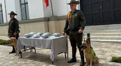 El olfato de 'Baileys' permitió importante incautación en el barrio Gaitán