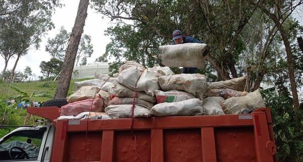 Concepción (S) limpia sus calles en campaña contra dengue y chagas