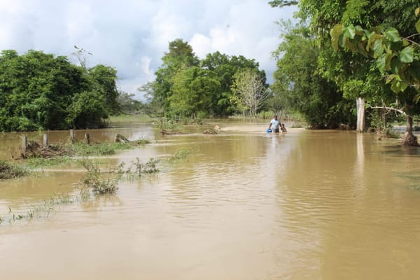 Inundaciones ponen en peligro a habitantes del Bajo Rionegro