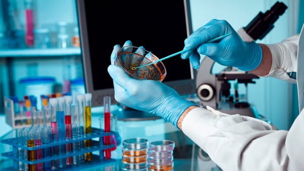 66 años de excelencia: Microbiología y Bioanálisis UIS conmemora su aniversario